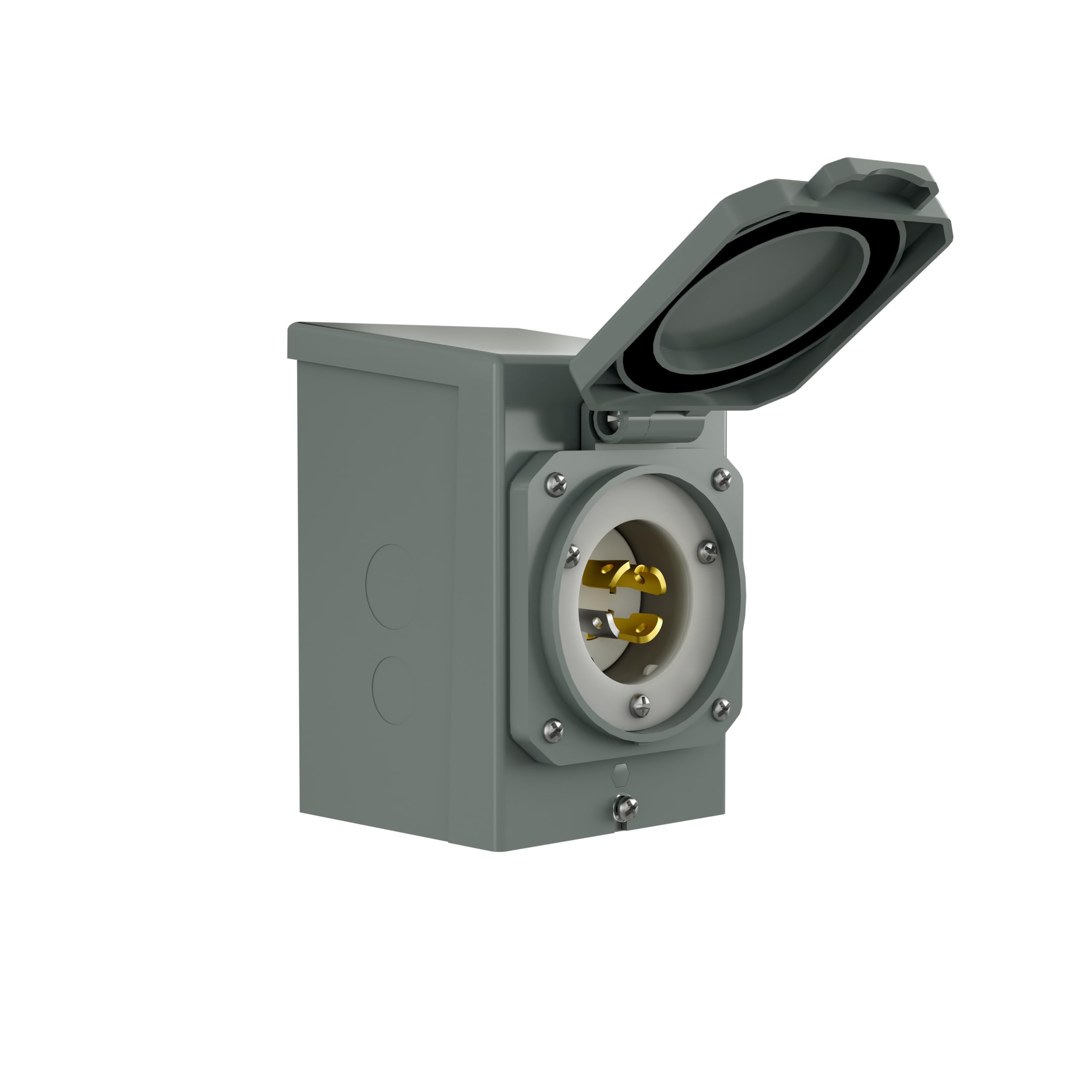 Transfer Switch12-Circuits 120/240V 30A Non-Automatic Power Transfer Kit with Inlet Box(Indoor)